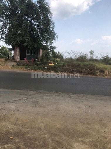 Cần bán lô đất lớn thôn 11, xã Nhân Cơ, huyện Đắk R'Lấp, tỉnh ĐắkNông