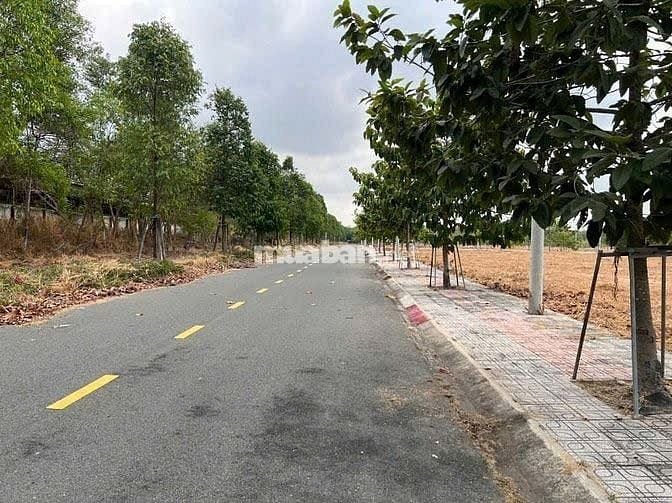 Bán đất tại Xã Thành Tâm, Chơn Thành Bình Phước.2,25tỷ,100m2 SHR