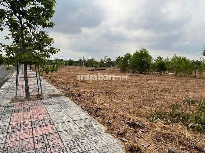 Bán đất tại Xã Thành Tâm, Chơn Thành Bình Phước.2,25tỷ,100m2 SHR