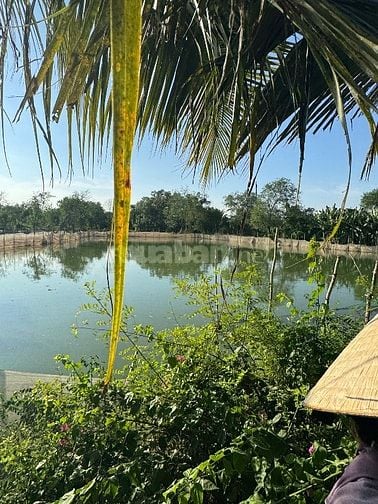 Đất Ao HCM phù hợp mua giữ tiền đầu tư