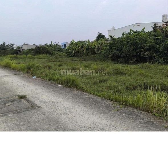 CHO THUÊ ĐẤT TẠI NHƠN TRẠCH ĐỒNG NAI