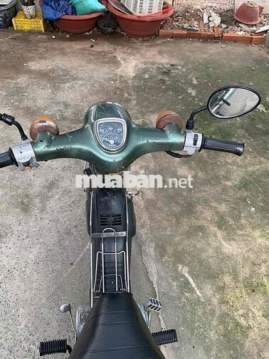 cub 81 đời đầu zin