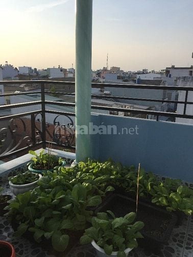 Chính chủ bán nhà hẻm xe hơi đúc suốt 3 lầu giá rẻ