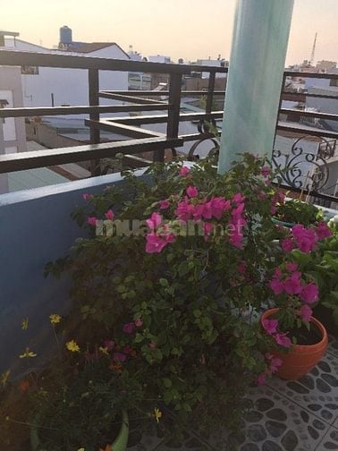 Chính chủ bán nhà hẻm xe hơi đúc suốt 3 lầu giá rẻ