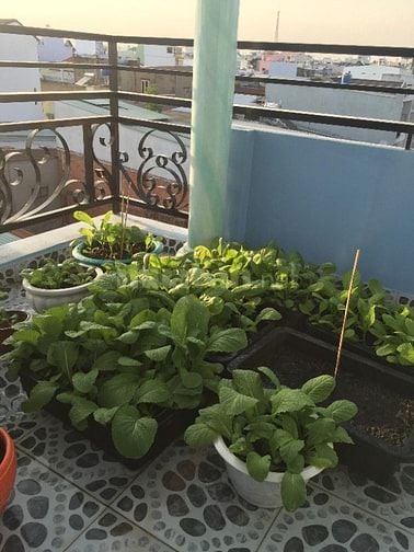 Chính chủ bán nhà hẻm xe hơi đúc suốt 3 lầu giá rẻ