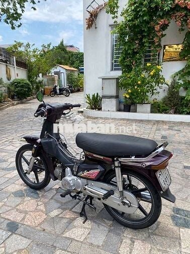 Xe Honda citi thùng
