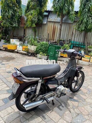 Xe Honda citi thùng