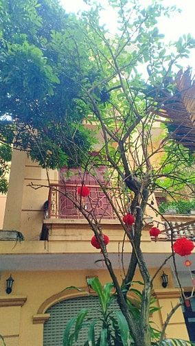 Bán biệt thự gần Hồ Tây,khuôn viên rộng rãi, thoáng mát.