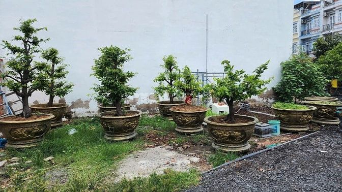  BÁN LÔ ĐẤT ĐẸP – THẠNH XUÂN 22, PHƯỜNG THẠNH XUÂN, Q.12