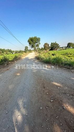 Tôi cần bán - đất Hóc Môn, giá chỉ: 2 triệu/m².