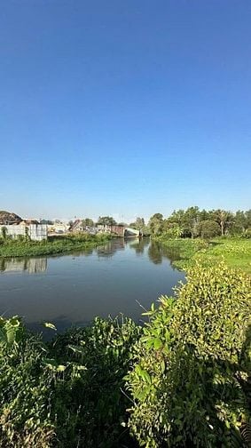 Tôi cần bán - đất Hóc Môn, giá chỉ: 2 triệu/m².