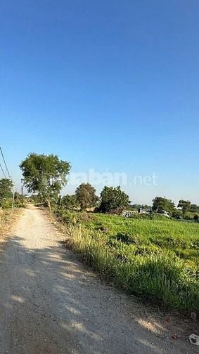 Tôi cần bán - đất Hóc Môn, giá chỉ: 2 triệu/m².