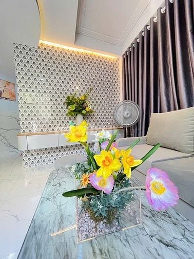Bán nhà riêng 5,95 tỷ,  29m², 3PN tại Lạc Long Quân, p.10, Q.TB, HCM