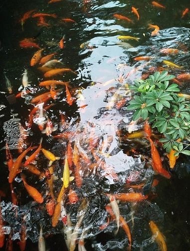 VIỆC LÀM DỊP HÈ CHO SINH VIÊN - TPHCM 