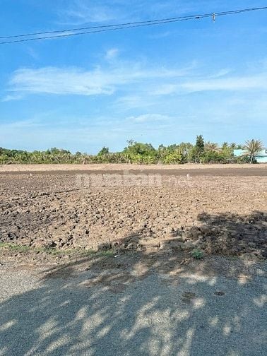 BÁN 17 NỀN ĐẤT THỔ CƯ – MẶT TIỀN NGUYỄN MINH HOÀNG, XÃ THUẬN THÀNH