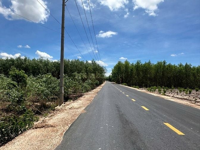1000m2 Mặt Tiền Đường Nhựa Sát Trung Tâm Giá Chỉ 1,3 Tỷ