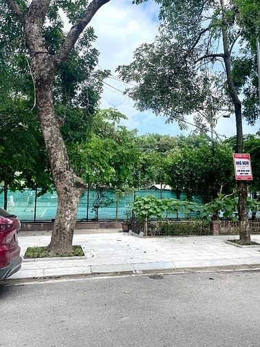 Chính Chủ Bán Biệt Thự Mỹ Đình 2 Phố Bùi Xuân Phái 