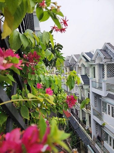 CHO THUÊ NHÀ CĂN GÓC 2 MẶT TIỀN HẺM 184 LÊ ĐÌNH CẨN, Q.BÌNH TÂN ! KINH
