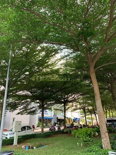 Cập nhật các căn đang bán HQC PLAZA_Bình Chánh.L/H 0909 456 158