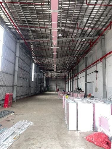 Cho thuê kho xưởng 800m2; 1200m2; 2500m2 KCN Cát Lái, Quận 2