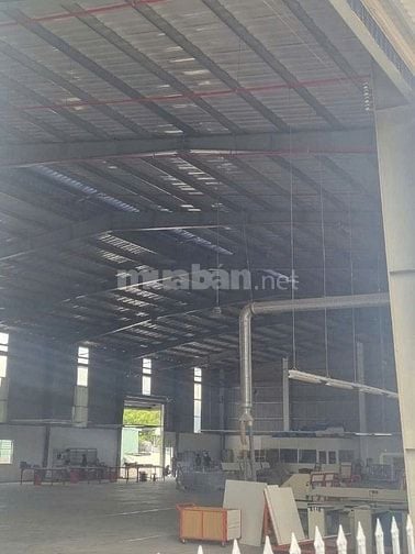 Cho thuê kho xưởng, DT: 2.000m2 tại KCN Hải Sơn, Long An, PCCC tự động