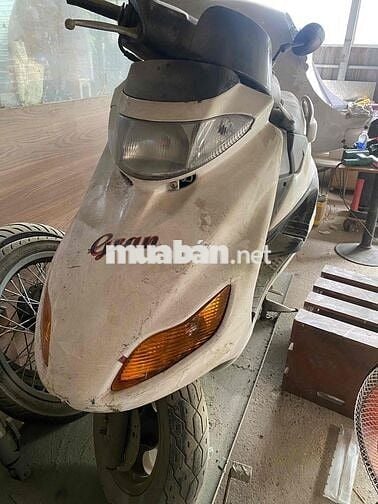 xe tay ga độc lạ