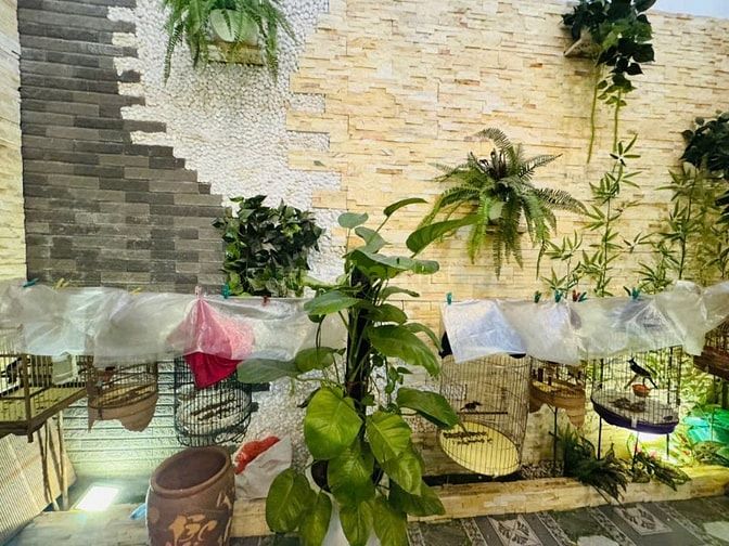 Bán nhà Đội Cấn, Ba Đình, 66m, 4 tầng, Oto đỗ cửa