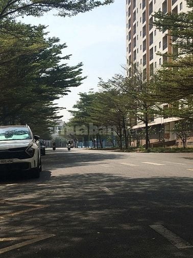 Bán đất mặt tiền đường Bạch Đông Ôn phường An Khánh Quận 2 .