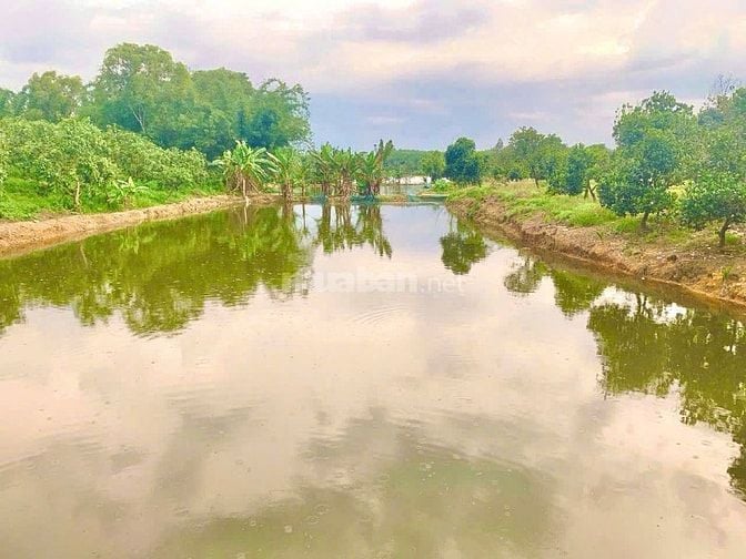 Đất view sông Tân phú  đồng nai 3336m2 giá 2ty200 triệu