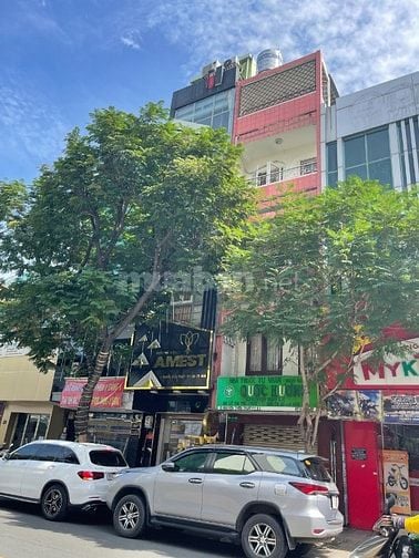 Mặt tiền 8m đường Cao Thắng Q10, 8x15, 7 tầng tháng máy, 67 tỷ TL