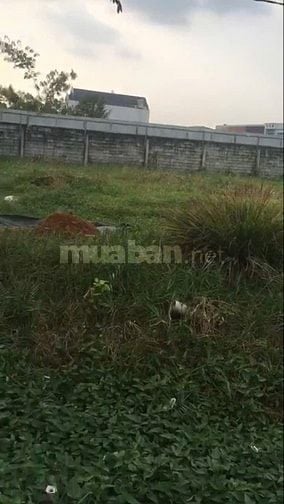 Cần bán miếng đất rộng 2.837 m2 Hóc Môn , đã xây tường 3 m 