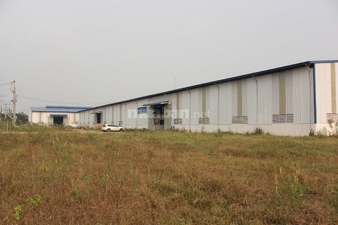 Nhân Viên Thống Kê - Kế Hoạch Sản Xuất (Làm việc tại TP. Hồng Ngự, Đồn