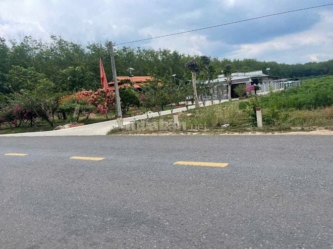 Cần bán gấp 4 lô đất ngay trung tâm  Dầu Tiếng Bình Dương