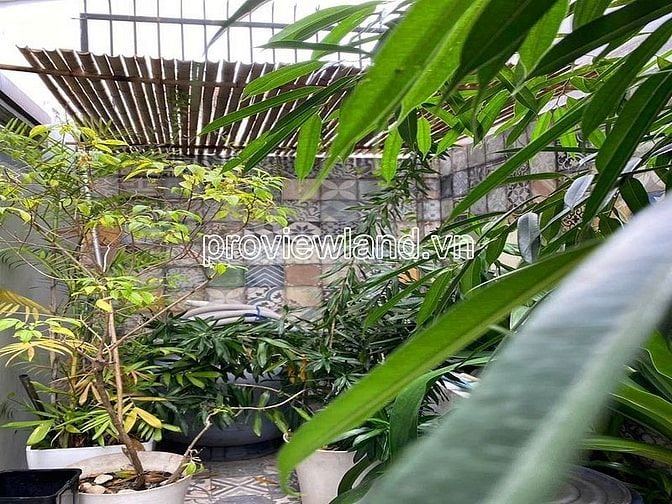 Bán biệt thự Thảo Điền có diện tích 202.3m2 đất, bề ngang 8m