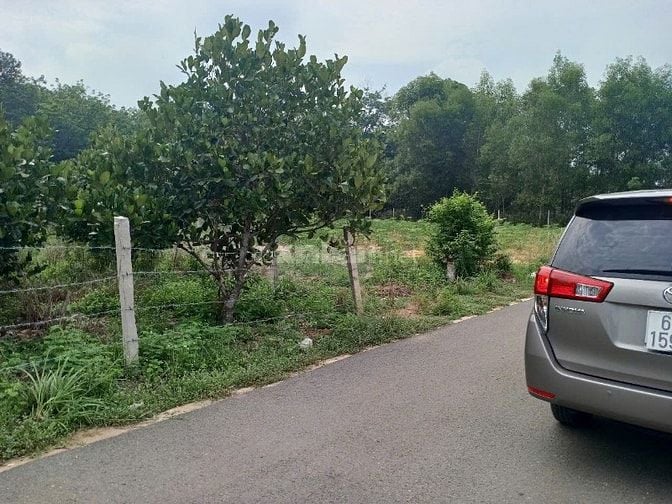 Cần bán gấp 4 lô đất ngay trung tâm  Dầu Tiếng Bình Dương
