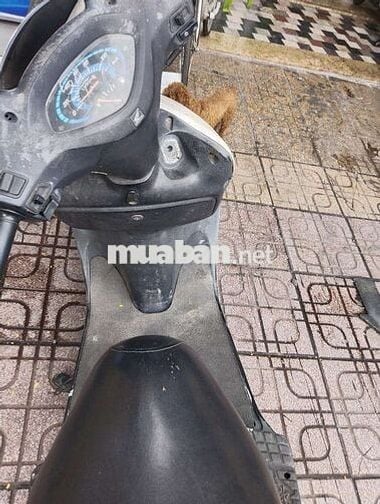Honda esky màu trắng 125