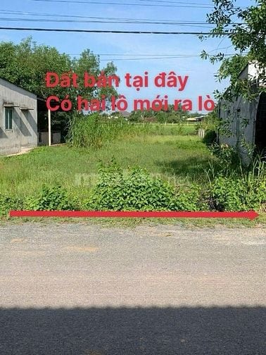 BÁN GẤP ĐẤT ĐẸP! 209M2 MT 6M ĐƯỜNG LÊ THỊ LONG - PHƯỚC HIỆP. 800 TRIỆU