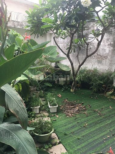 BIỆT THỰ SÂN VƯỜN - XÂY 4 TẦNG - NGUYỄN DUY TRINH - BÌNH TRƯNG TÂY 