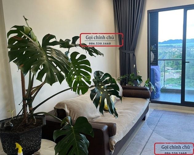 CỰC HIẾM! CẢ TÒA CHỈ CÓ VÀI CĂN. THOẢI MÁI CHO 1PN, TIẾT KIỆM CHO 2PN