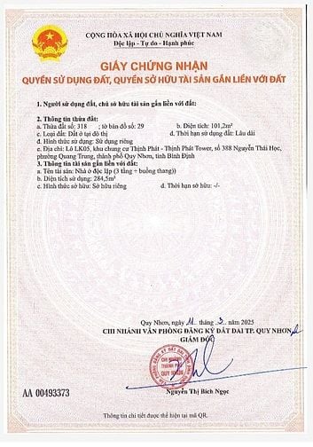 Bán nhà phố 3 tầng đường Thanh Niên, thành phố Quy Nhơn