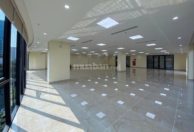 Cho thuê tòa nhà 45 Phạm Tuấn Tài: 160m2, 1 hầm, 8 tầng
