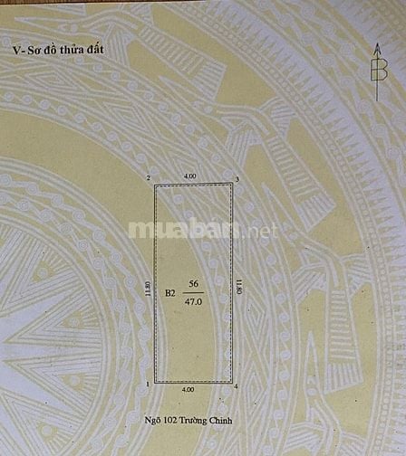 ☘️ Chào bán Nhà diện tích rộng, phân lô vuông đét, giá hợp lý 