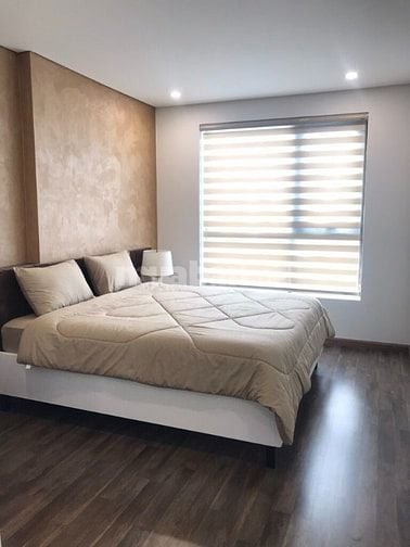 cho thuê căn hộ hà đô centrosa quận 10, tp hcm, căn 2pn