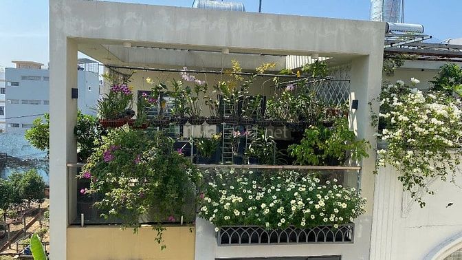 Bán nhà đường số 38 Bình Trưng Tây Quận 2 cũ gần chợ Giồng 50m2 8.1 tỷ