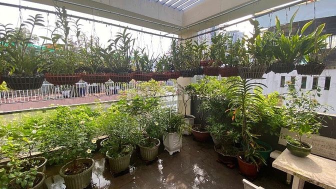 Bán nhà đường số 38 Bình Trưng Tây Quận 2 cũ gần chợ Giồng 50m2 8.1 tỷ