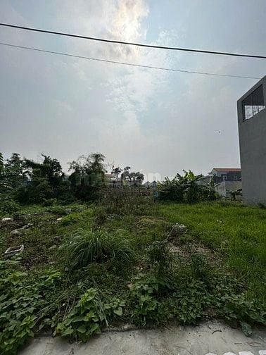 Lô 61m2 thôn 5 Bắc Sơn. Giá  970tr