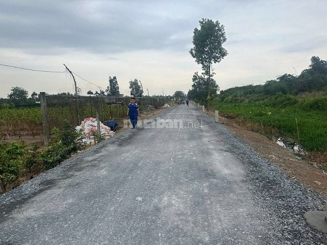 BÁN GẤP LÔ ĐẤT ĐẸP ,THỔ CƯ 100%,MẶT TIỀN ĐƯỜNG Lô 2,TRẦN VĂN GIÀU, BC