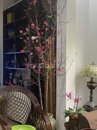 Bán nhà đầu ngõ phố Hoàng Như Tiếp, quận Long Biên, DT 30m2 x 5,5 tầng