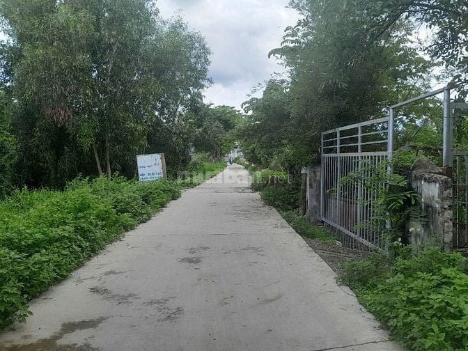 Cho thuê nhà và đất gần 500m2 bao gồm 7 căn nhà trọ 1 kho và đất trống