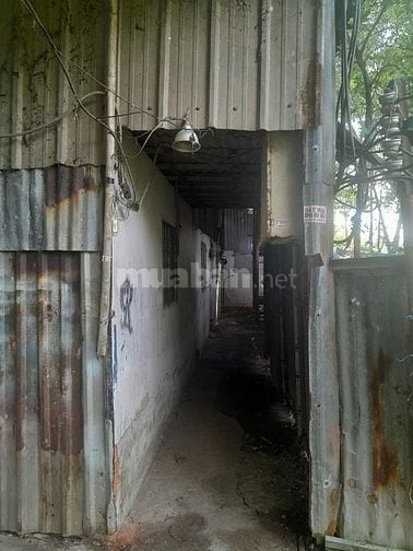 Cho thuê nhà và đất gần 500m2 bao gồm 7 căn nhà trọ 1 kho và đất trống
